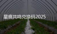 星痕共鸣兑换码2025最新一览