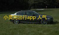 小灵狗出行app 人气热度：42℃