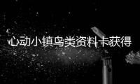 心动小镇鸟类资料卡获得方法