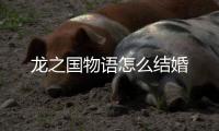 龙之国物语怎么结婚